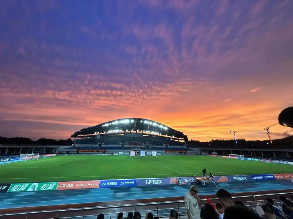 雨燕直播免费观看